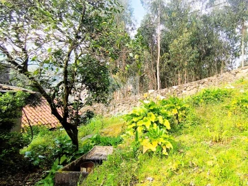 Moradia T3 para Venda em Barroselas e Carvoeiro