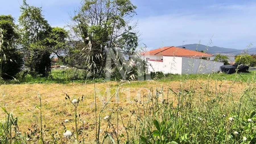 Terreno para Venda em Seixas