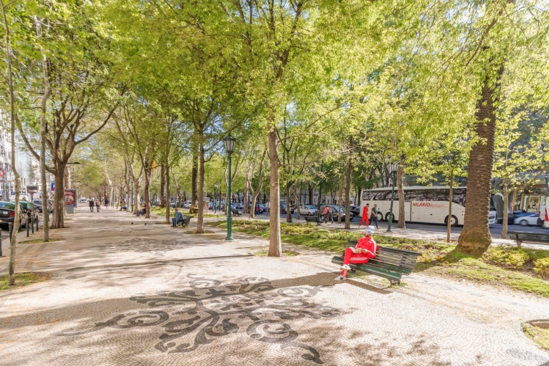 Apartamento T2 para Venda em Santo António Foto 20