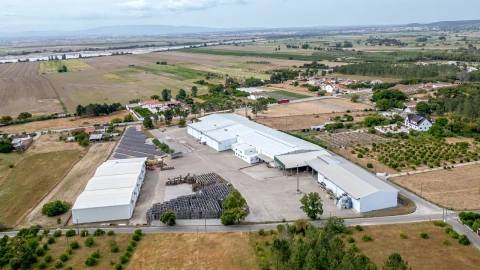 Armazém para Venda em Chamusca e Pinheiro Grande