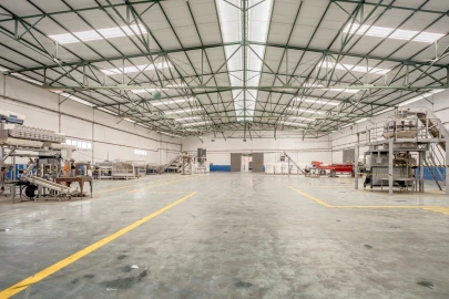 Armazém para Venda em Chamusca e Pinheiro Grande