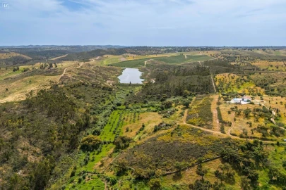 Moradia T3 para Venda em Terena (São Pedro)