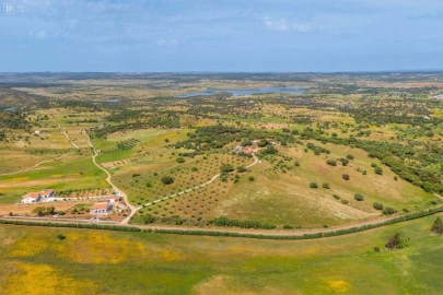 Moradia T3 para Venda em Terena (São Pedro)