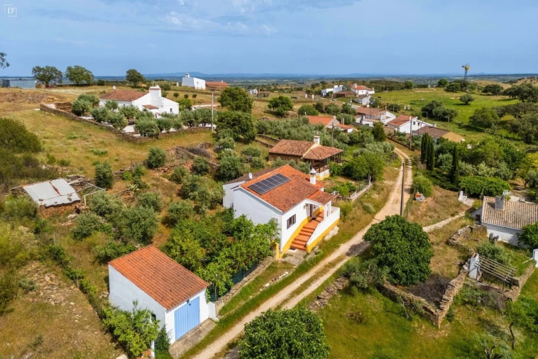 Moradia T3 para Venda em Terena (São Pedro) Foto 5