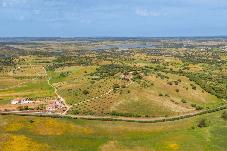 Moradia T3 para Venda em Terena (São Pedro) Foto 17