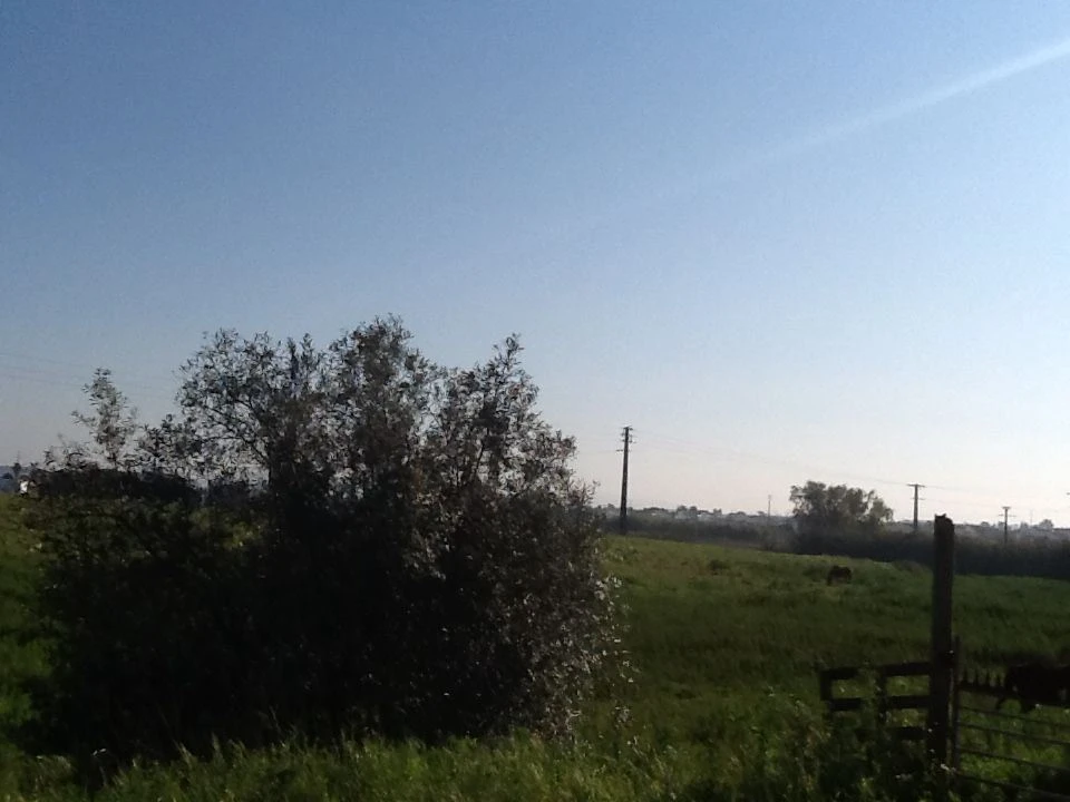 Terreno Agricola ou Rústico para Venda em Montijo e Afonsoeiro Foto 9