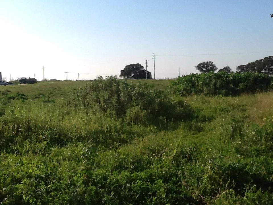 Terreno Agricola ou Rústico para Venda em Montijo e Afonsoeiro Foto 14
