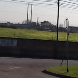 Terreno Agricola ou Rústico para Venda em Montijo e Afonsoeiro