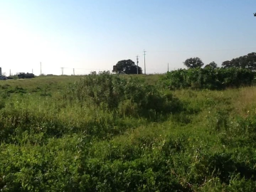Terreno Agricola ou Rústico para Venda em Montijo e Afonsoeiro