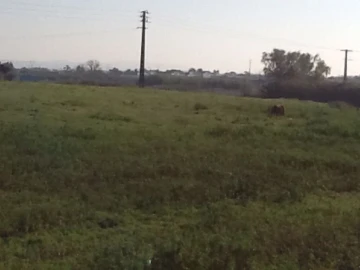 Terreno Agricola ou Rústico para Venda em Montijo e Afonsoeiro