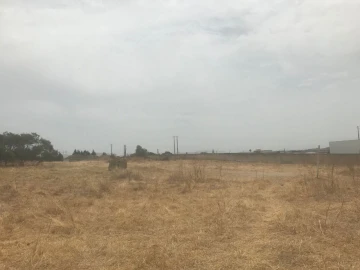 Terreno Agricola ou Rústico para Venda em Montijo e Afonsoeiro