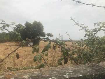 Terreno Agricola ou Rústico para Venda em Montijo e Afonsoeiro