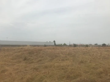 Terreno Agricola ou Rústico para Venda em Montijo e Afonsoeiro