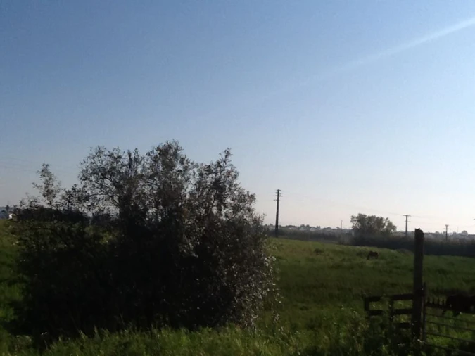 Terreno Agricola ou Rústico para Venda em Montijo e Afonsoeiro Foto 9