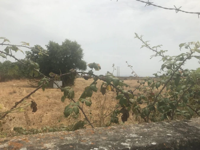 Terreno Agricola ou Rústico para Venda em Montijo e Afonsoeiro Foto 12