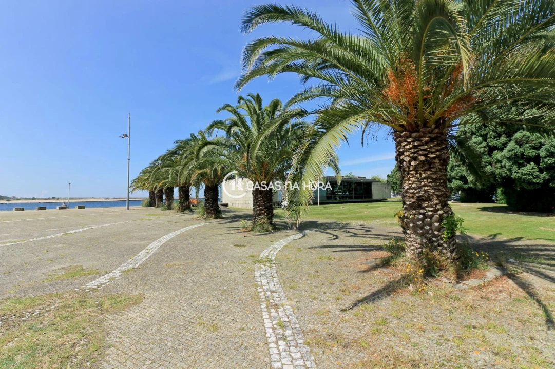 Apartamento T2 para Arrendamento em Aldoar, Foz do Douro e Nevogilde Foto 18