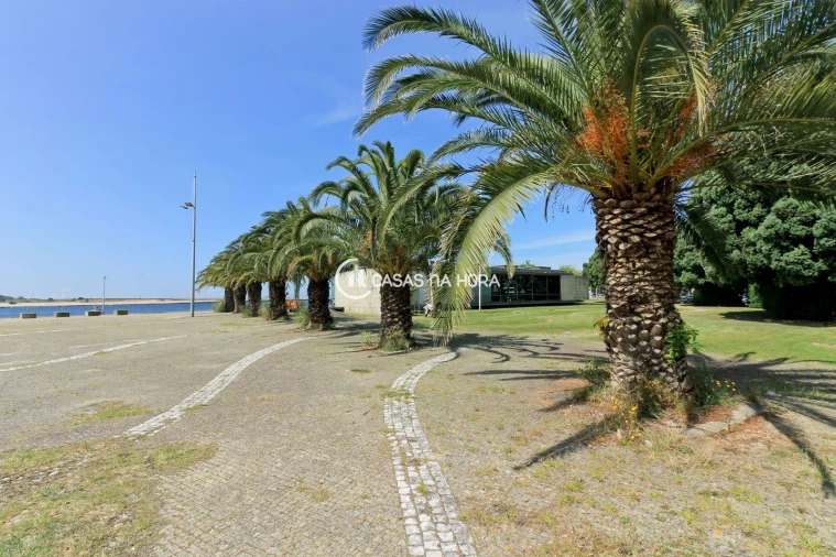 Apartamento T2 para Arrendamento em Aldoar, Foz do Douro e Nevogilde Foto 18