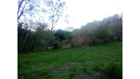 Terreno para Venda em Antuzede e Vil de Matos