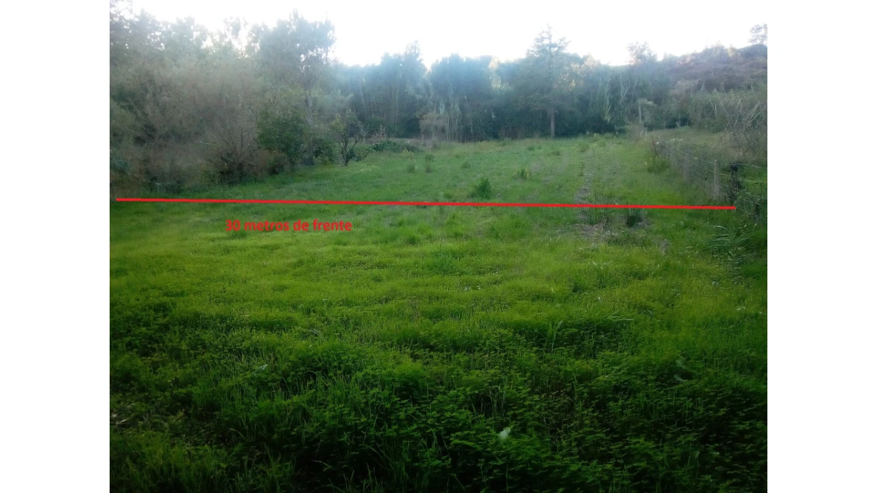 Terreno para Venda em Antuzede e Vil de Matos Foto 2