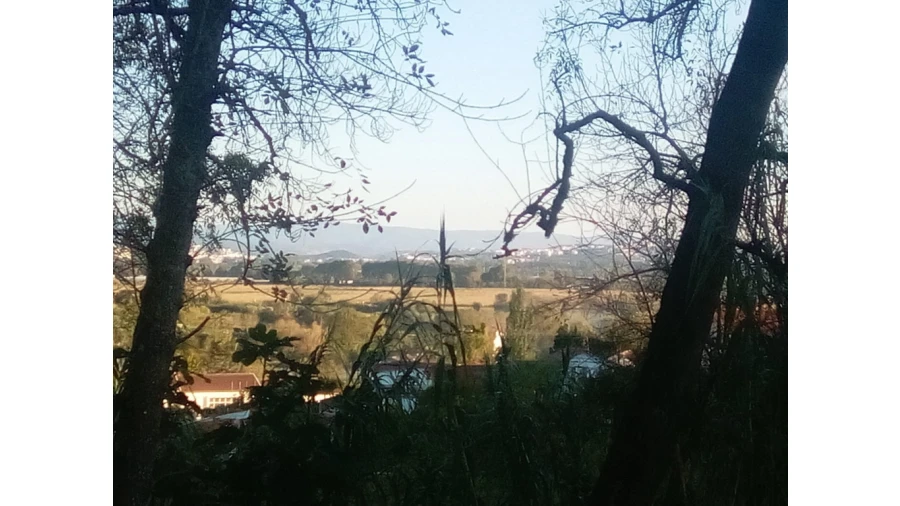 Terreno para Venda em Antuzede e Vil de Matos Foto 3