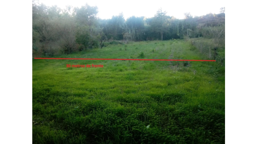 Terreno para Venda em Antuzede e Vil de Matos Foto 2