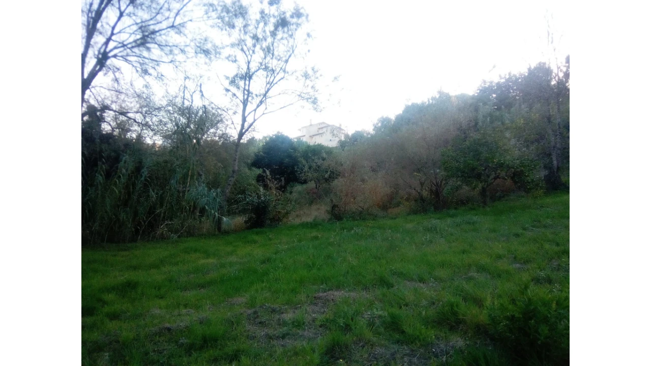 Terreno para Venda em Antuzede e Vil de Matos Foto 4