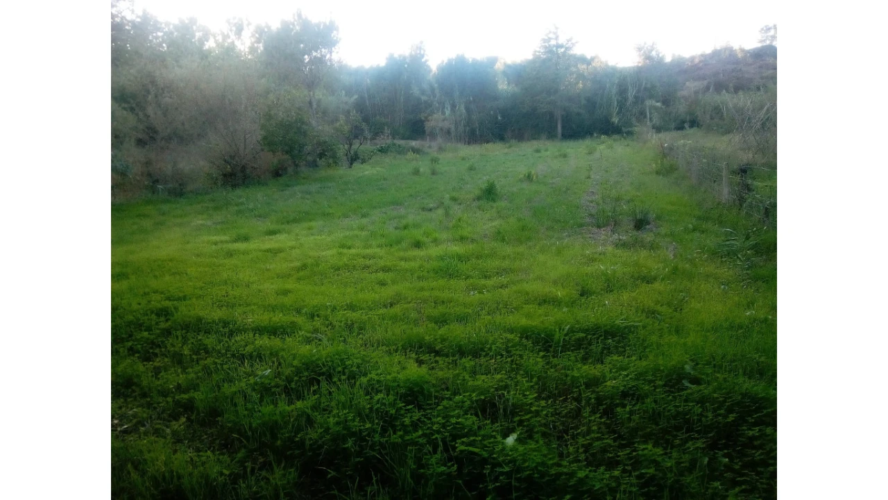 Terreno para Venda em Antuzede e Vil de Matos Foto 1