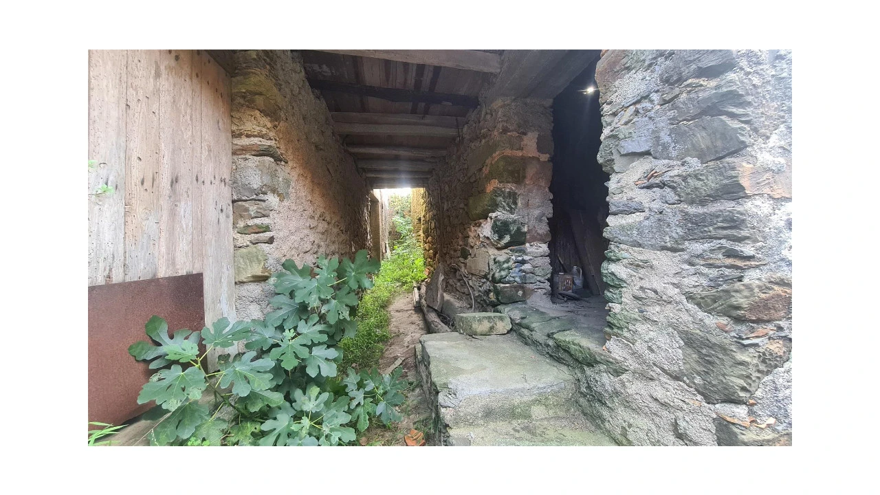 Moradia T3 para Venda em Lorvão Foto 3