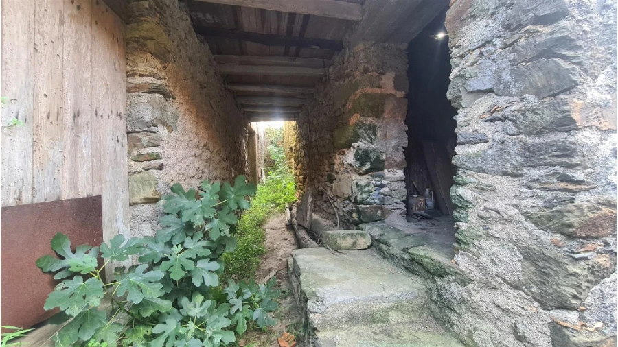 Moradia T3 para Venda em Lorvão Foto 3