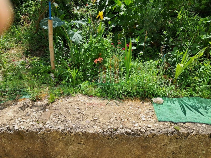 Apartamento T2 para Venda em Sé Nova, Santa Cruz, Almedina e São Bartolomeu Foto 23