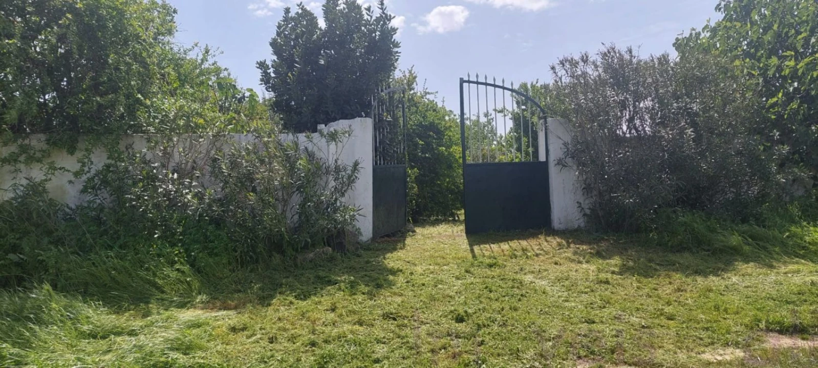 Terreno para Venda em Castro Verde e Casével Foto 17