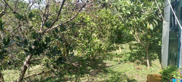 Terreno para Venda em Castro Verde e Casével
