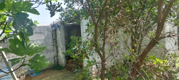 Terreno para Venda em Castro Verde e Casével