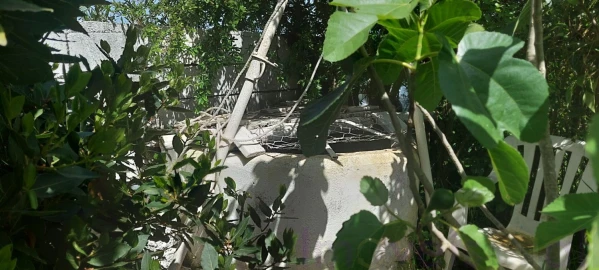 Terreno para Venda em Castro Verde e Casével
