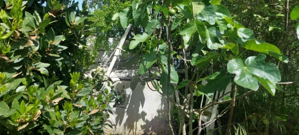 Terreno para Venda em Castro Verde e Casével