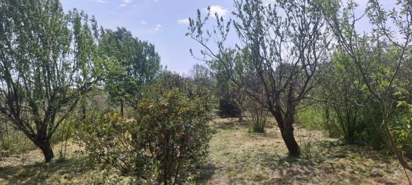 Terreno para Venda em Castro Verde e Casével