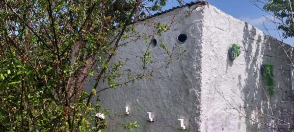 Terreno para Venda em Castro Verde e Casével