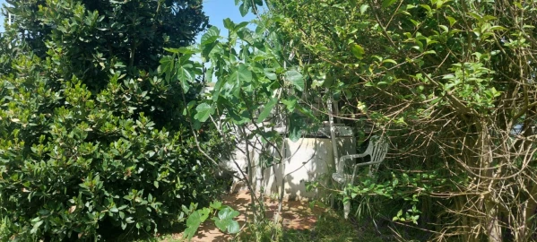 Terreno para Venda em Castro Verde e Casével