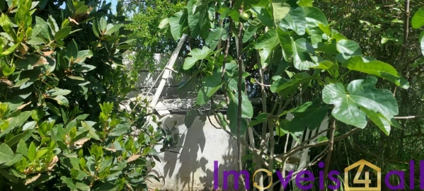 Terreno para Venda em Castro Verde e Casével