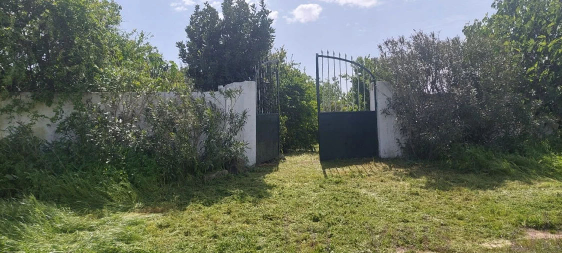 Terreno para Venda em Castro Verde e Casével Foto 17