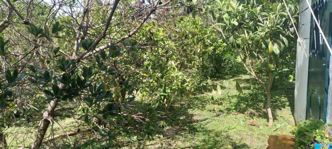 Terreno para Venda em Castro Verde e Casével Foto 4