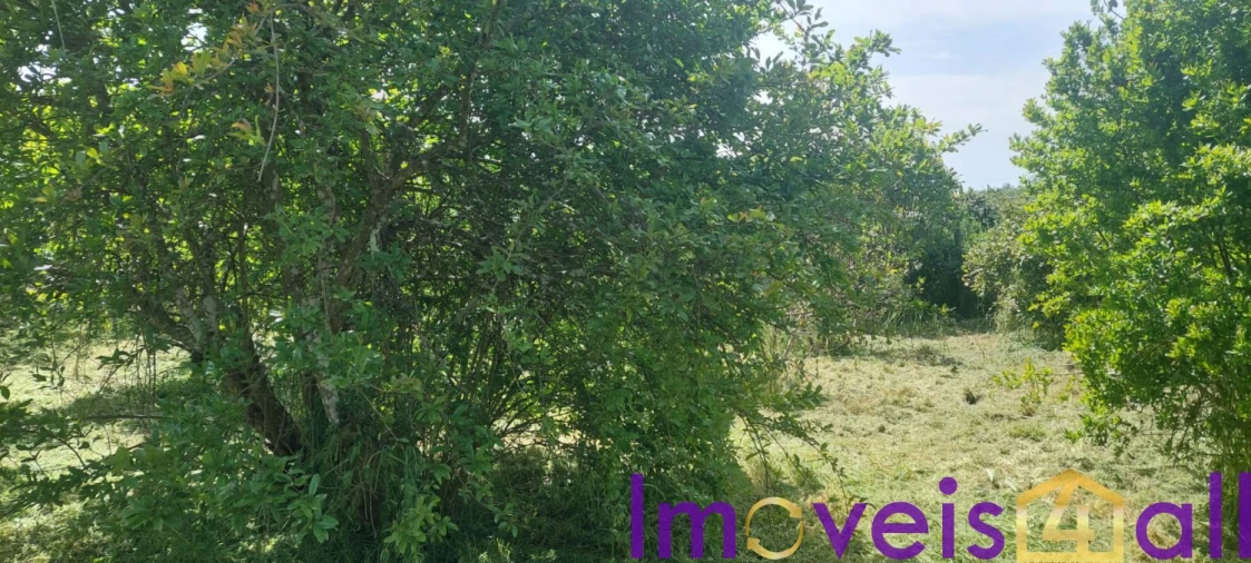 Terreno para Venda em Castro Verde e Casével Foto 12