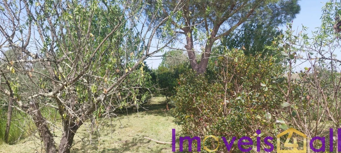 Terreno para Venda em Castro Verde e Casével Foto 10
