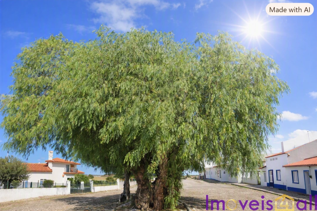 Terreno para Venda em Castro Verde e Casével Foto 3