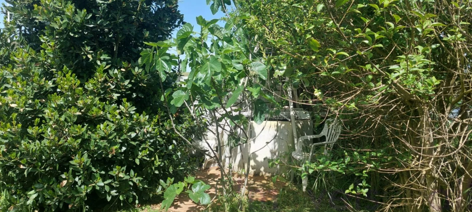 Terreno para Venda em Castro Verde e Casével Foto 15