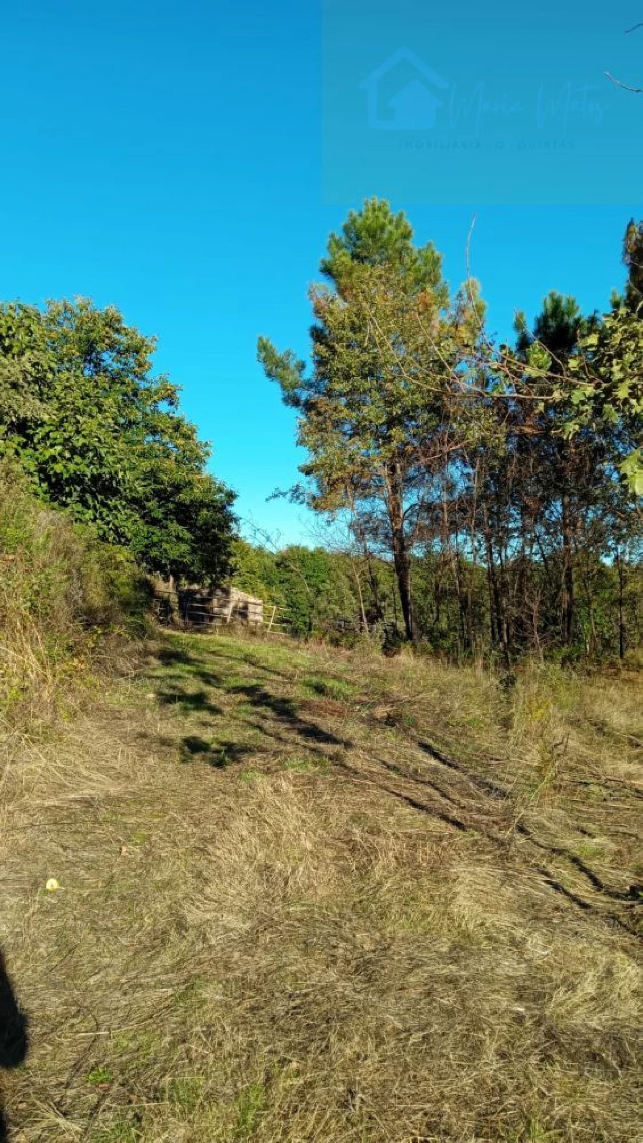 Quinta T1 para Venda em Castelo de Penalva Foto 14