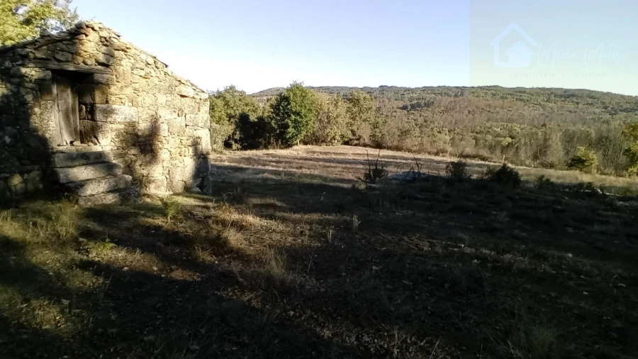 Quinta T1 para Venda em Castelo de Penalva