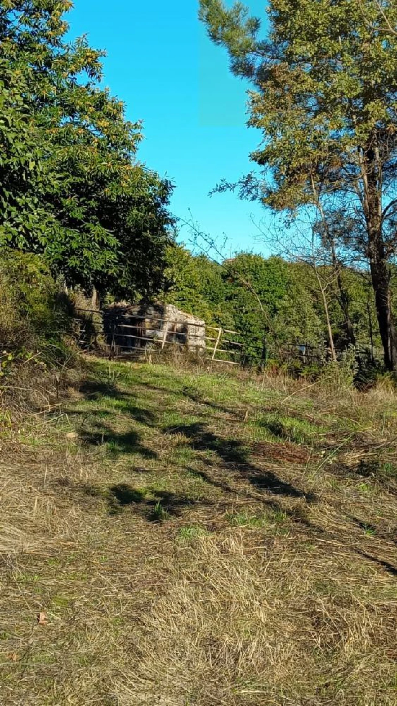 Quinta T1 para Venda em Castelo de Penalva Foto 10