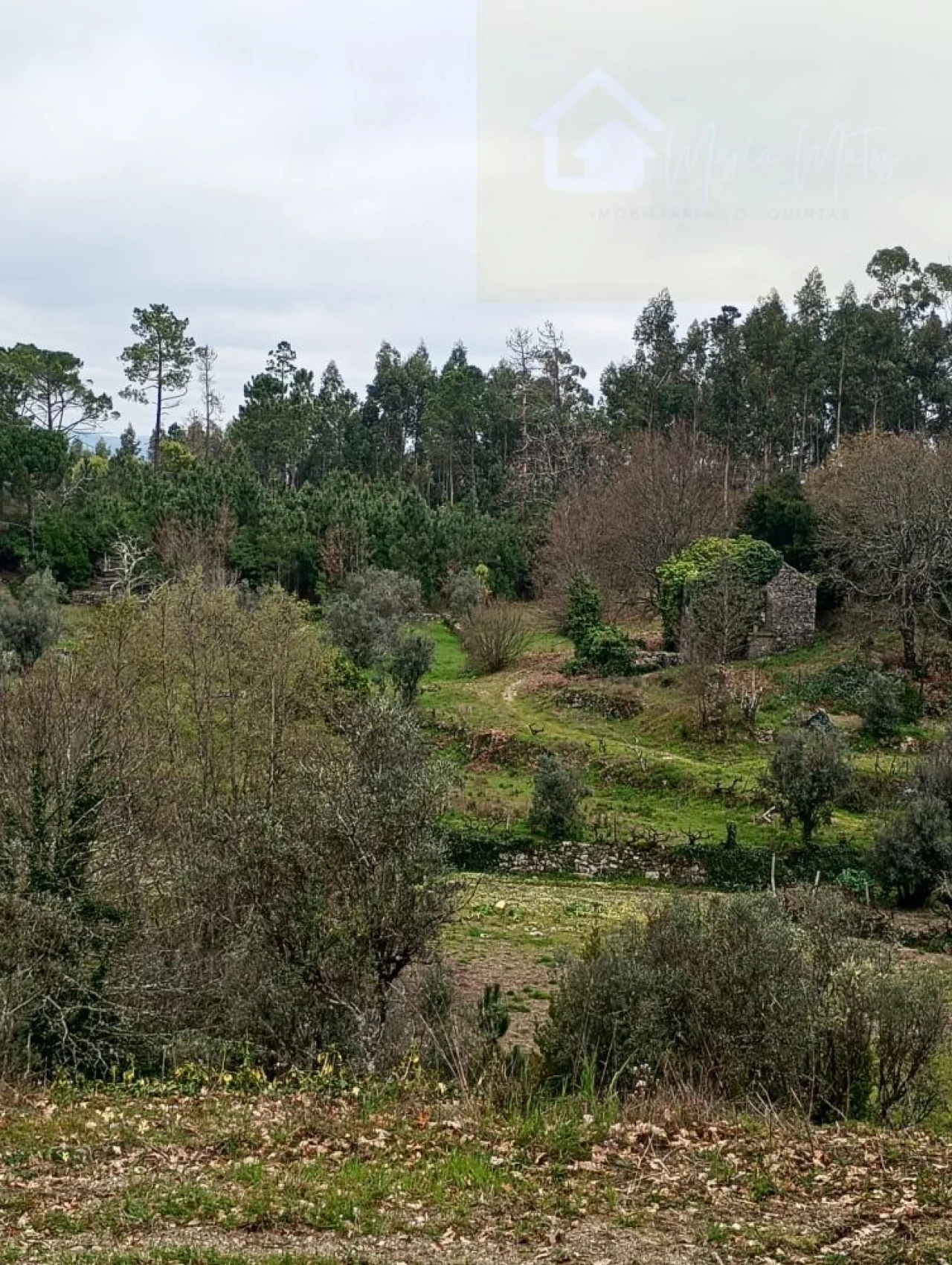 Moradia T2 para Venda em Mangualde, Mesquitela e Cunha Alta Foto 2