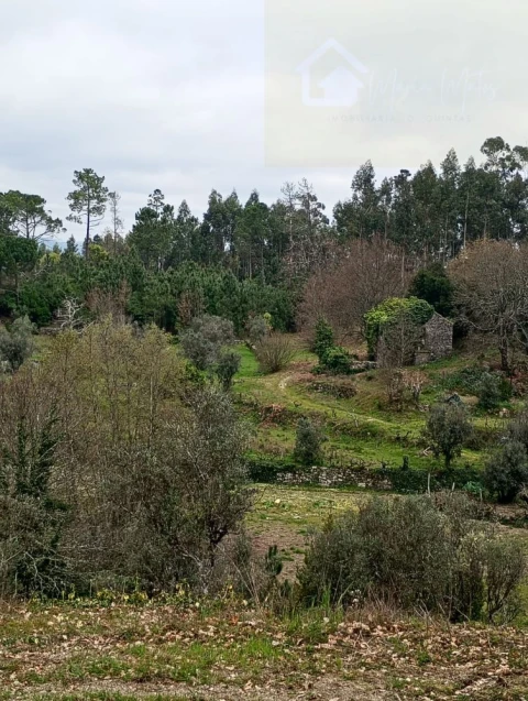 Moradia T2 para Venda em Mangualde, Mesquitela e Cunha Alta